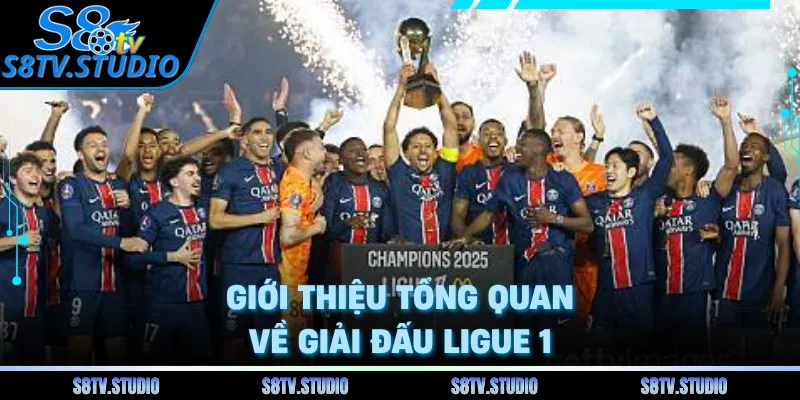 Giới thiệu tổng quan về giải đấu Ligue 1 
