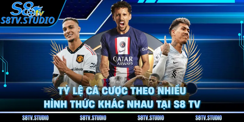 Tỷ lệ cá cược theo nhiều hình thức khác nhau tại S8 TV